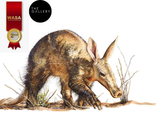 Ribbon-winning Aardvark!!!